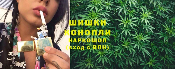 шишки Баксан