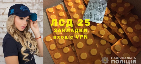 шишки Баксан