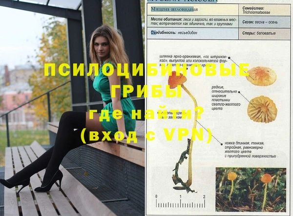 шишки Баксан