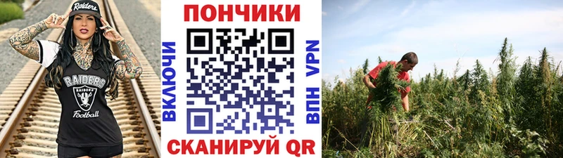 Каннабис индика  Купить где  Миллерово 